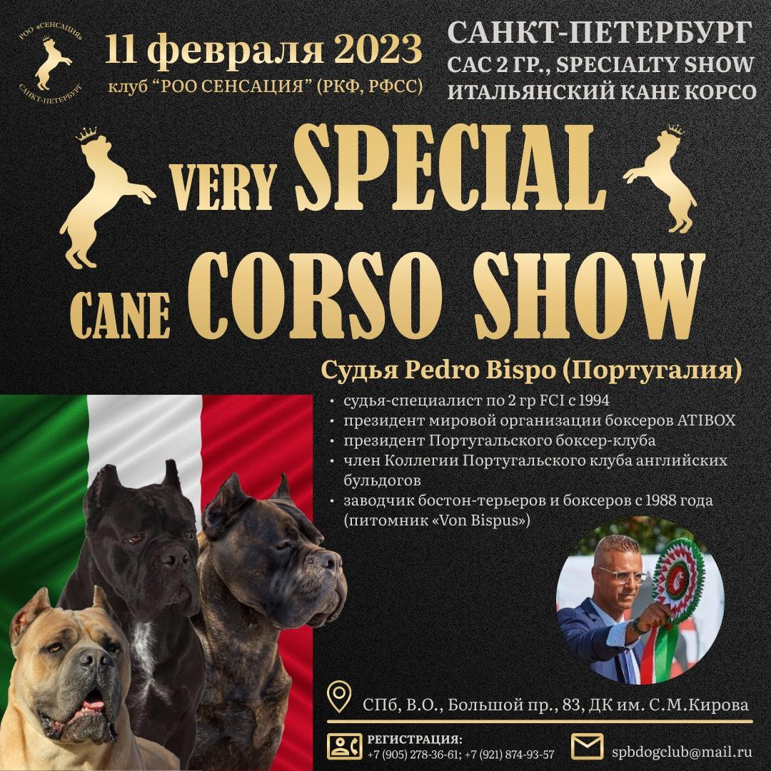 11.02.2023 ВЫСТАВКА СОБАК ВСЕХ ПОРОД (CAC, ЧФ) «СЕНСАЦИЯ». Кинологический клуб РКФ РФСС СЕНСАЦИЯ