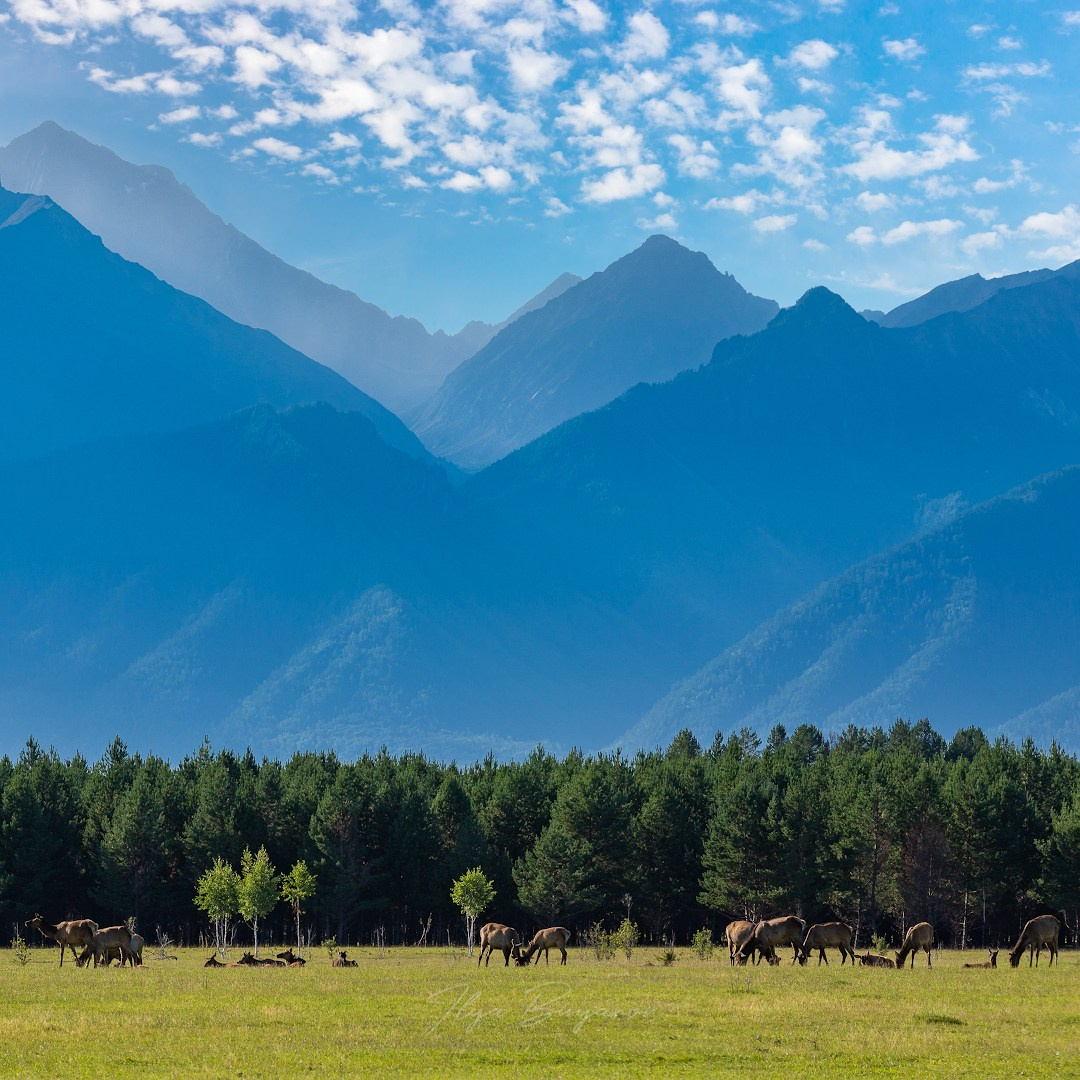 Из Иркутска в Саяны (курорт Аршан). Илья Буянов, гид по Байкалу, фотограф — baikalsky.com