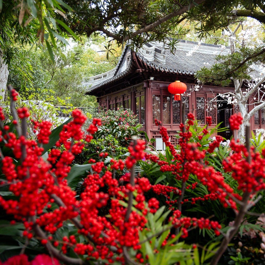 Меню | путешествия. Репортажный фотограф Виноградов Константин