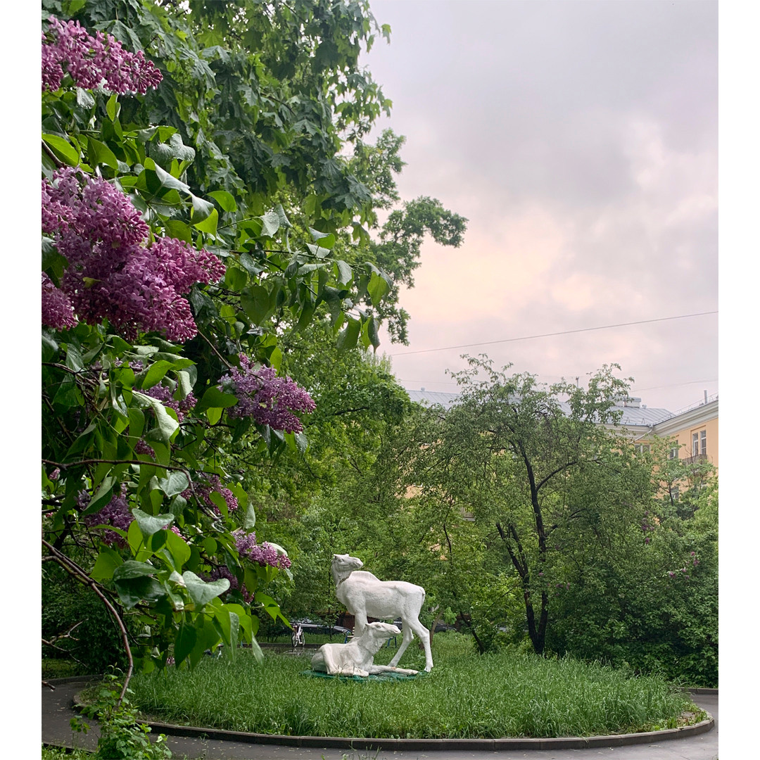 История. Официальный сайт Посохинских двориков