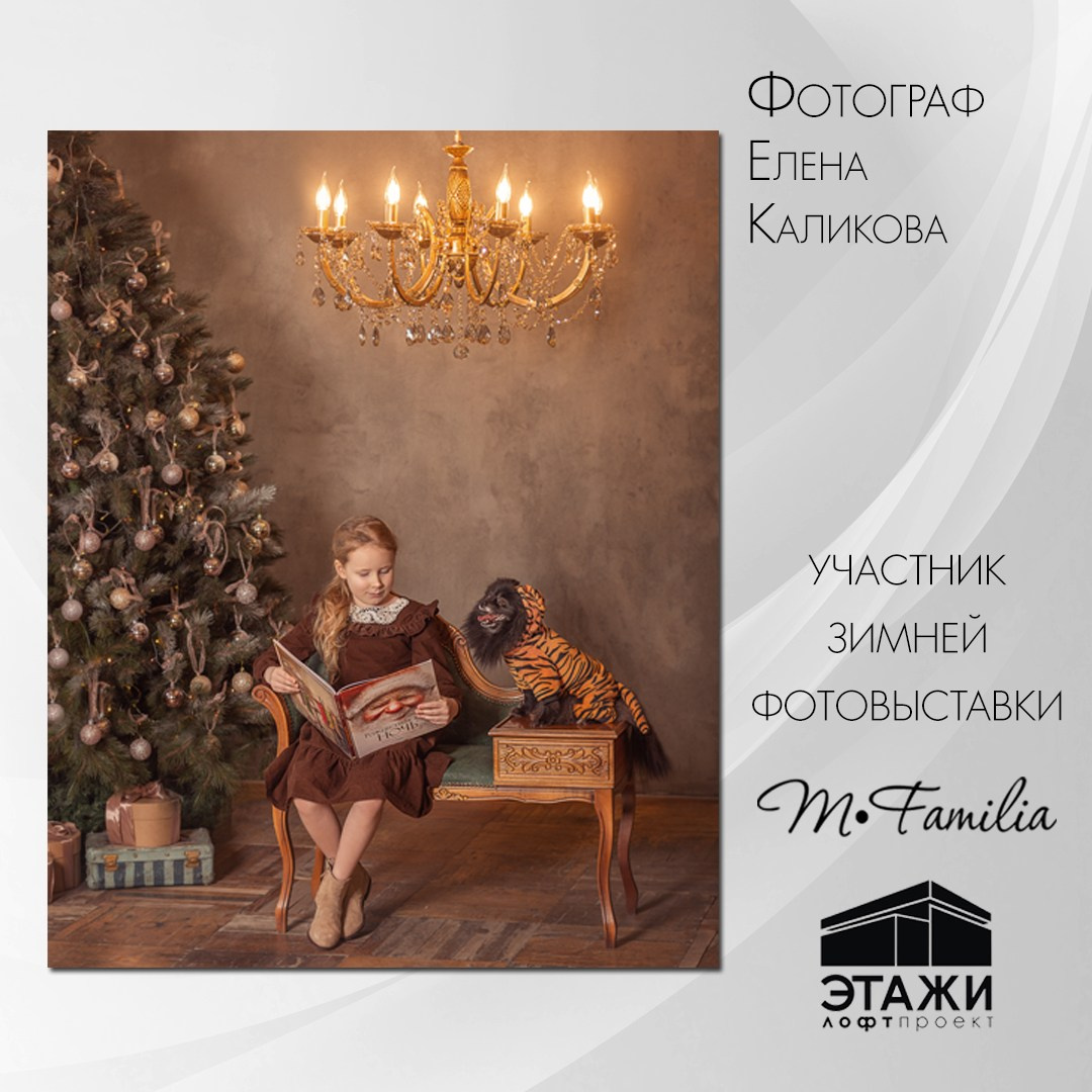 Зимняя фотовыставка в Петербурге, 2023. Организация фотовыставок в Петербурге и Москве, MFamilia (МФамилия)