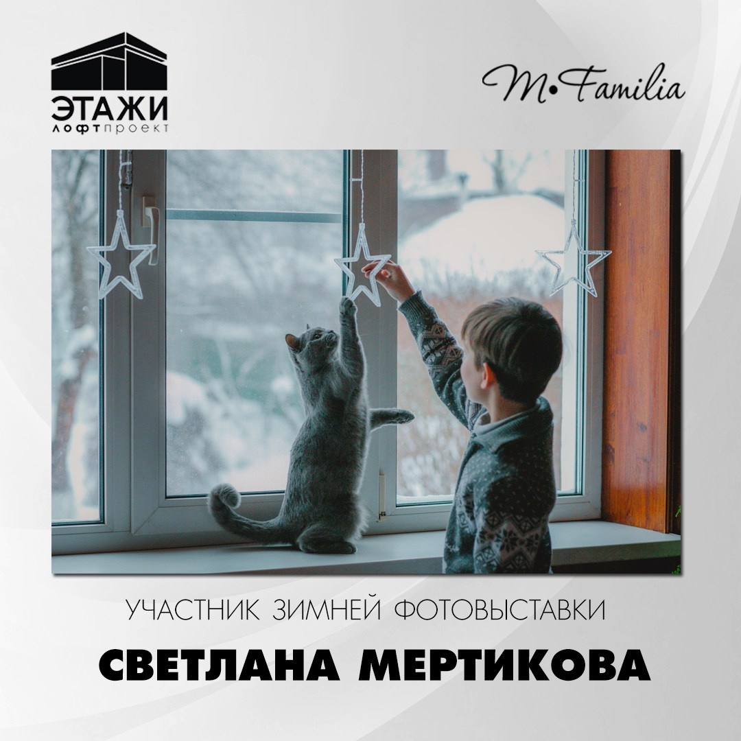 Зимняя фотовыставка в Петербурге, 2023. Организация фотовыставок в Петербурге и Москве, MFamilia (МФамилия)