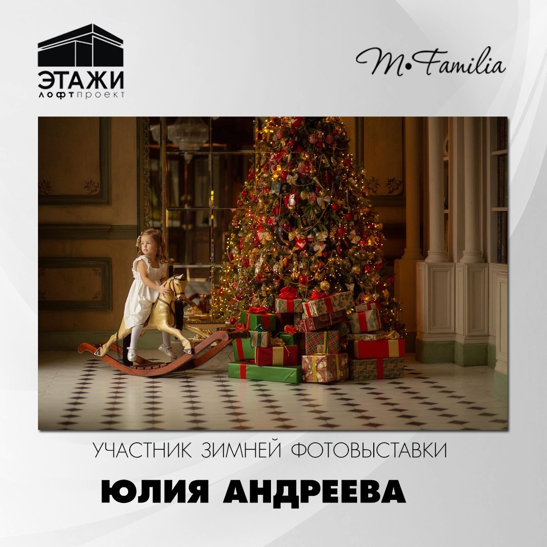 Зимняя фотовыставка в Петербурге, 2023. Организация фотовыставок в Петербурге и Москве, MFamilia (МФамилия)