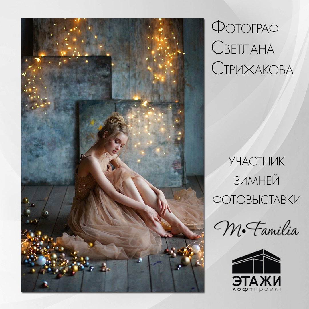 Зимняя фотовыставка в Петербурге, 2023. Организация фотовыставок в Петербурге и Москве, MFamilia (МФамилия)