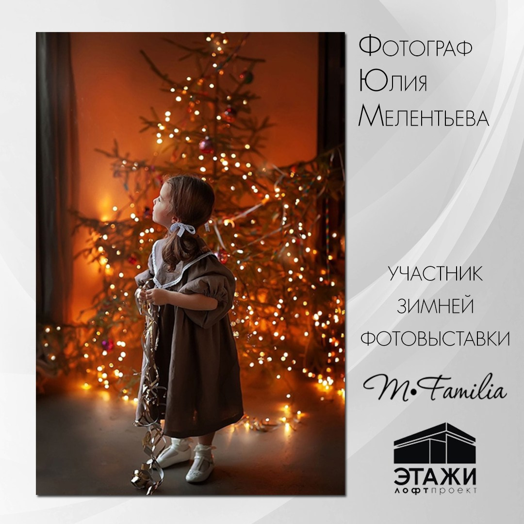 Зимняя фотовыставка в Петербурге, 2023. Организация фотовыставок в Петербурге и Москве, MFamilia (МФамилия)