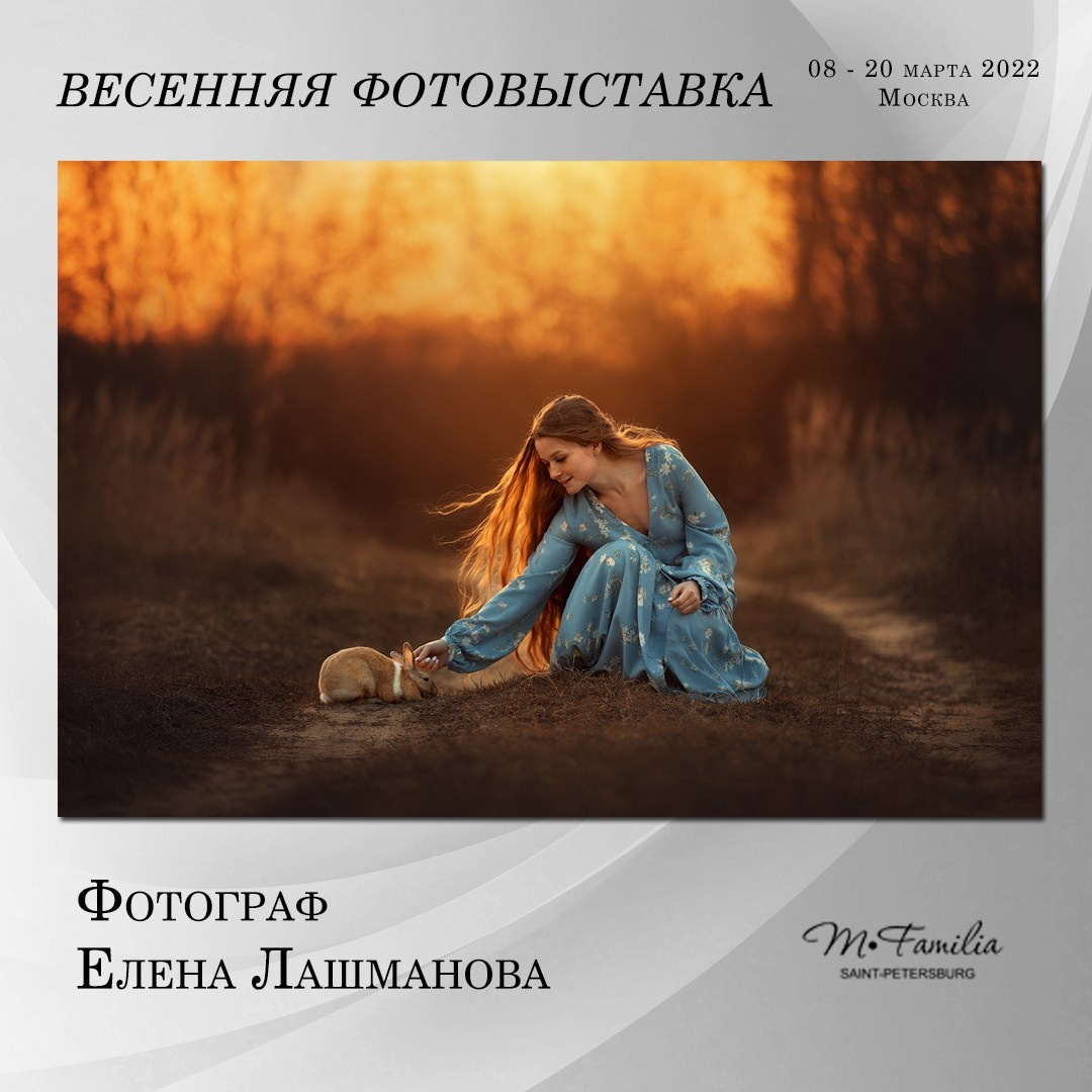 Фотовыставка «Пробуждение», 2022. Организация фотовыставок в Петербурге и Москве, MFamilia (МФамилия)