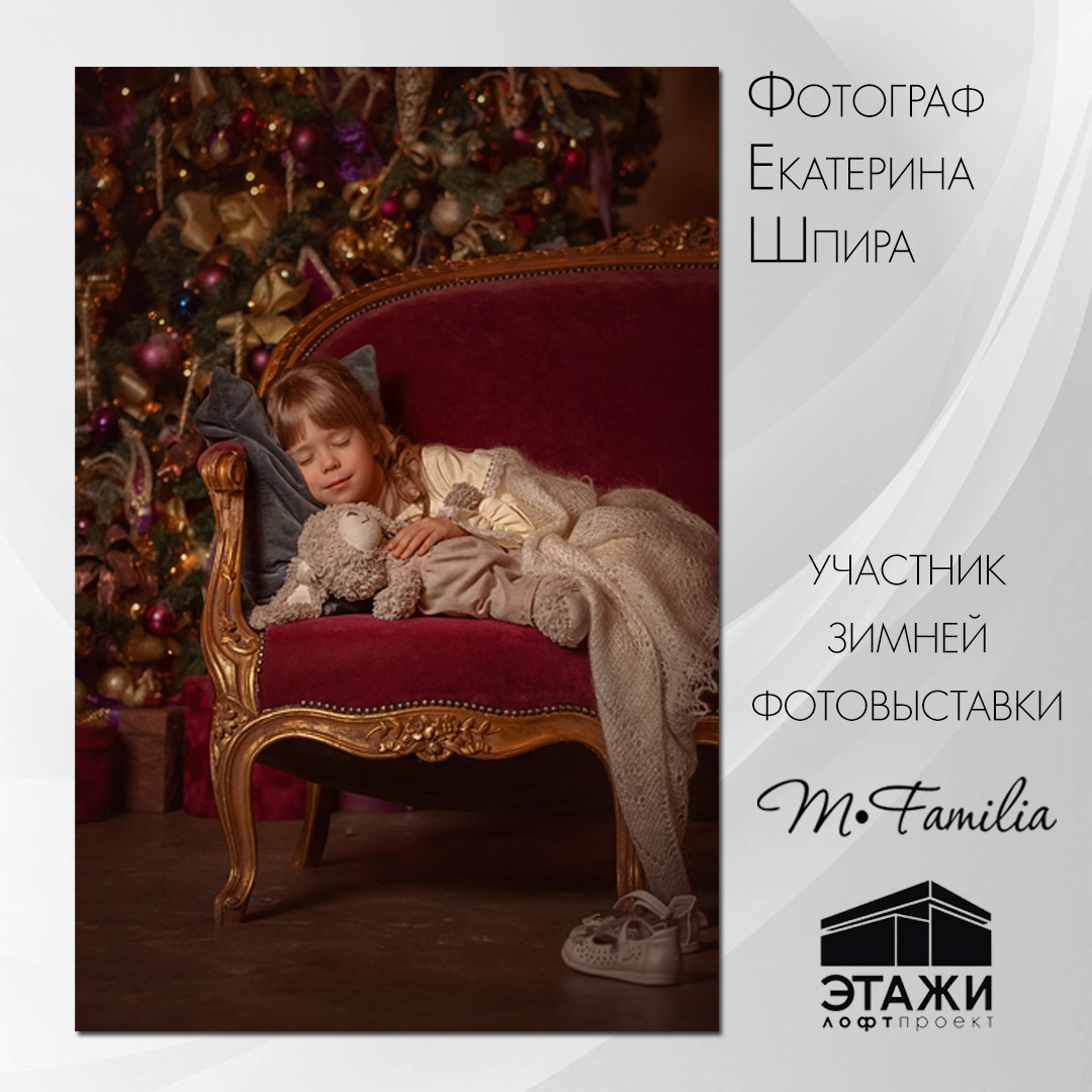 Зимняя фотовыставка в Петербурге, 2023. Организация фотовыставок в Петербурге и Москве, MFamilia (МФамилия)