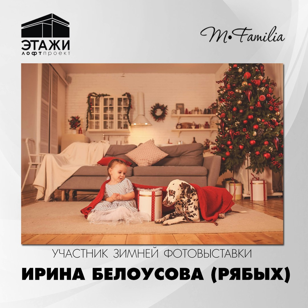 Зимняя фотовыставка в Петербурге, 2023. Организация фотовыставок в Петербурге и Москве, MFamilia (МФамилия)
