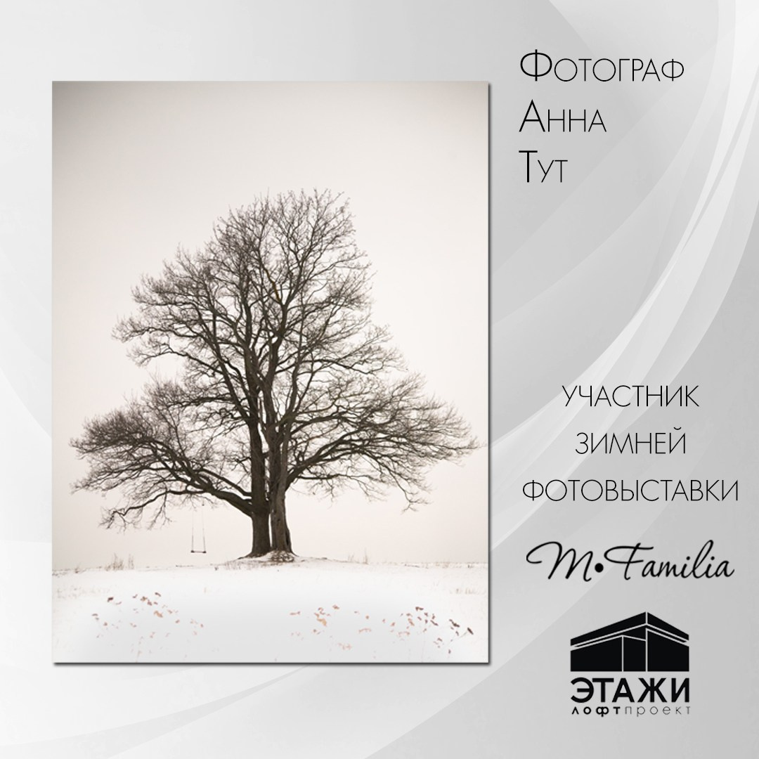 Зимняя фотовыставка в Петербурге, 2023. Организация фотовыставок в Петербурге и Москве, MFamilia (МФамилия)