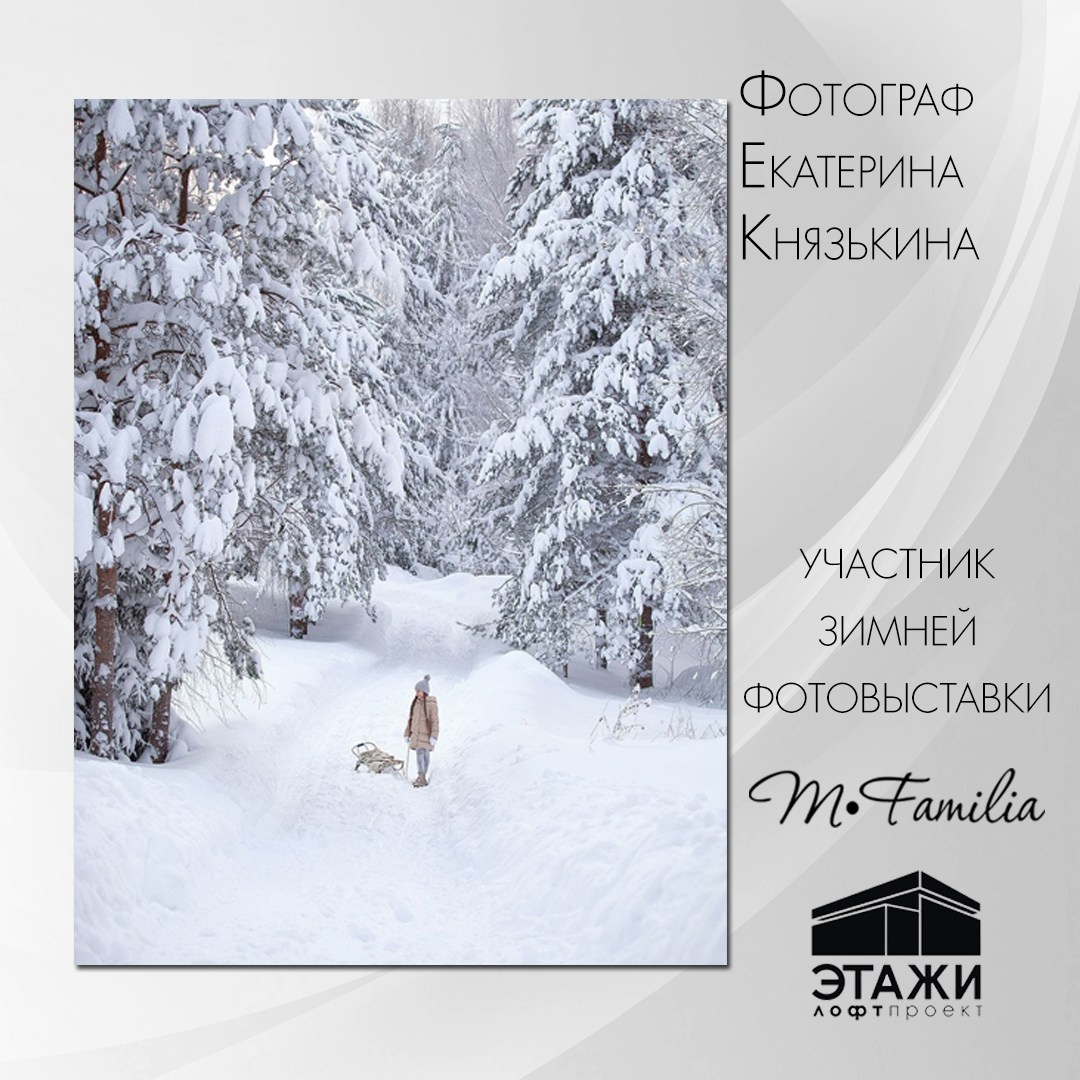 Зимняя фотовыставка в Петербурге, 2023. Организация фотовыставок в Петербурге и Москве, MFamilia (МФамилия)