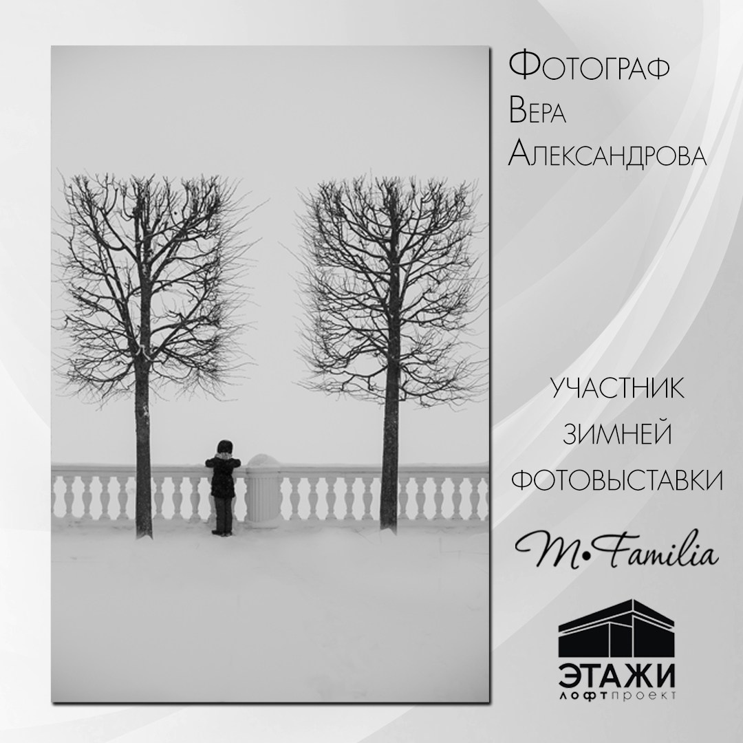 Зимняя фотовыставка в Петербурге, 2023. Организация фотовыставок в Петербурге и Москве, MFamilia (МФамилия)