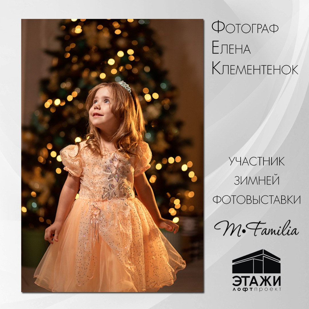 Зимняя фотовыставка в Петербурге, 2023. Организация фотовыставок в Петербурге и Москве, MFamilia (МФамилия)