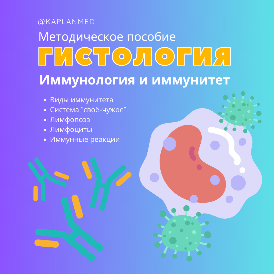 Уникальные материалы по гистологии — карточки и методические пособия. Репетитор по гистологии, патологической анатомии и патофизиологии | KaplanMed