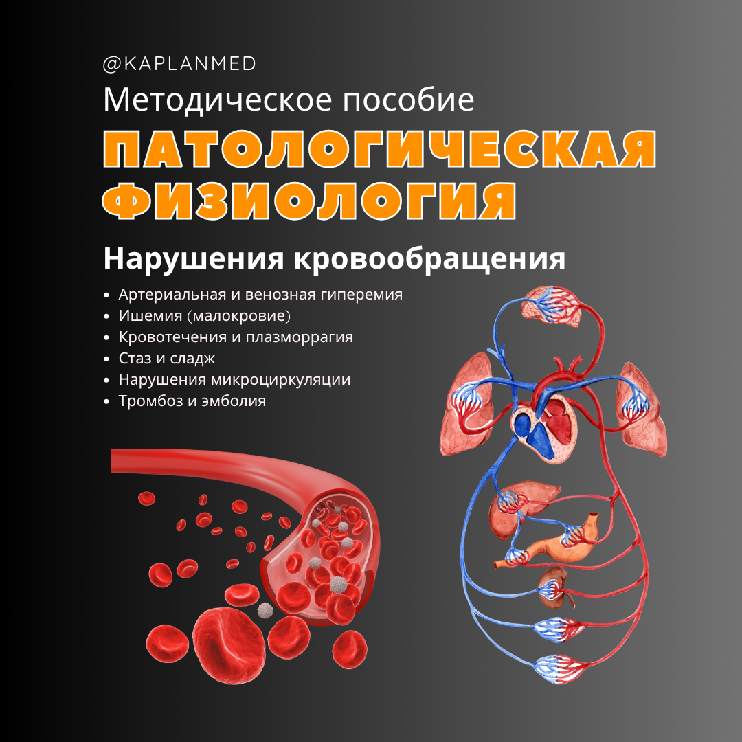 Материалы по патану и патфизу. Репетитор по гистологии, патологической анатомии и патофизиологии | KaplanMed