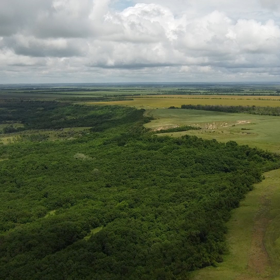 Основная информация