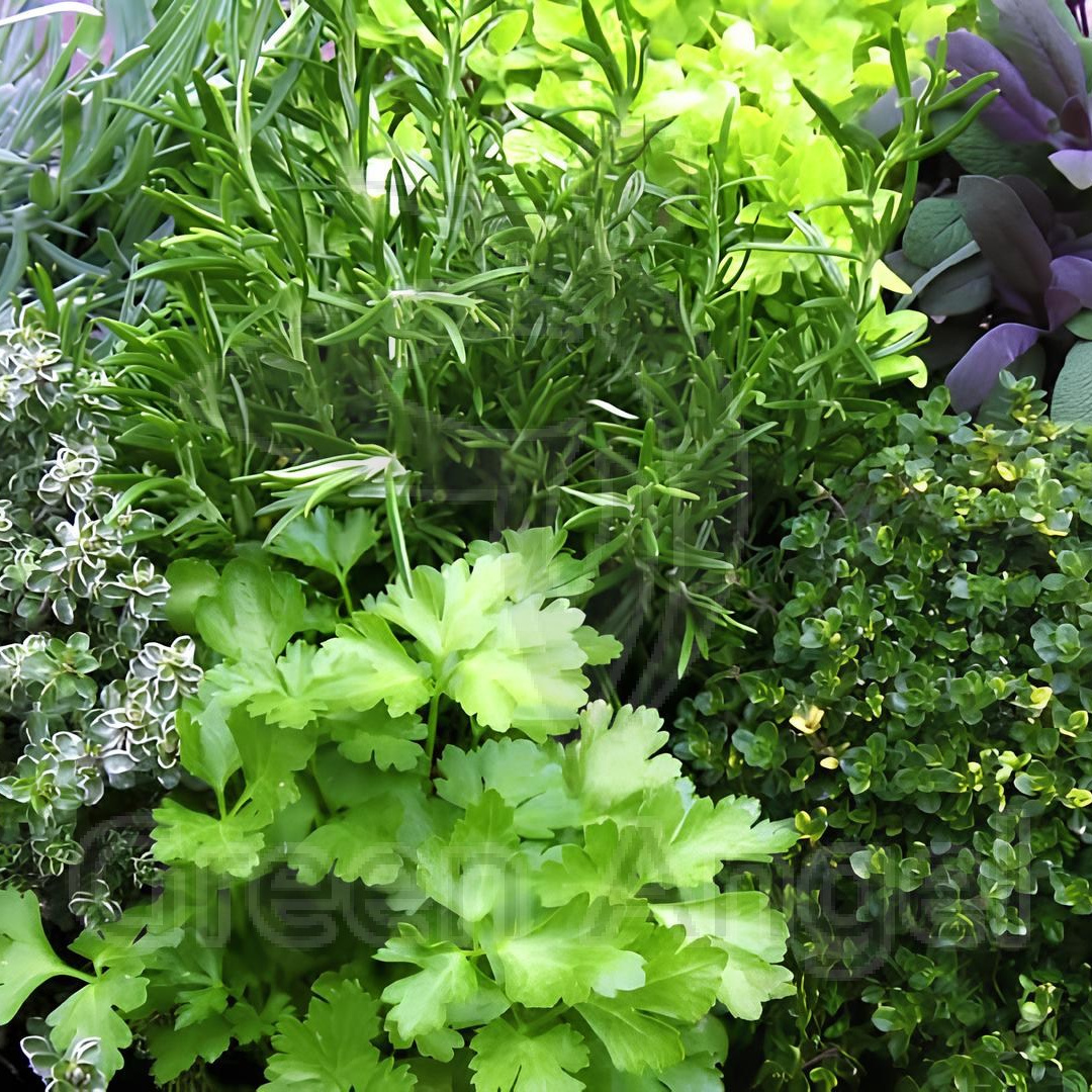 Агро Земельный массив Неберджаевская. Инвестиционный консалтинг Недвижимость