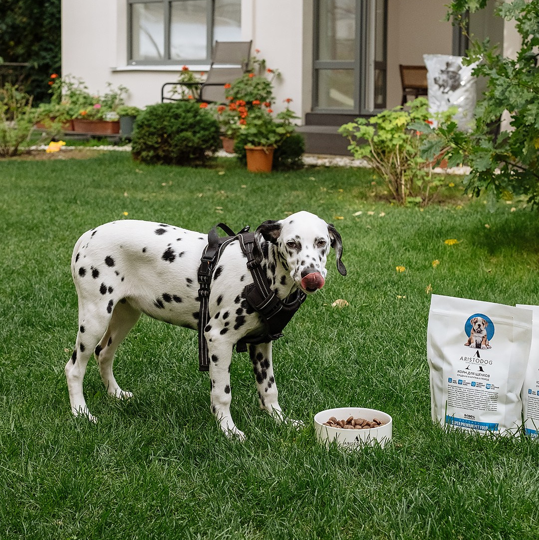 Контент-съемка в Тюмени: фотограф Анна Жагорина.