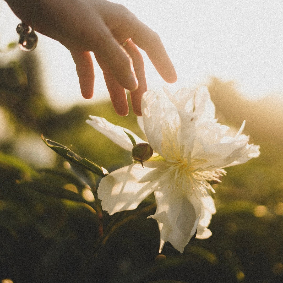 Часто задаваемые вопросы. Фотограф, эмпат, телесный терапевт в Москве Ольга Трушина