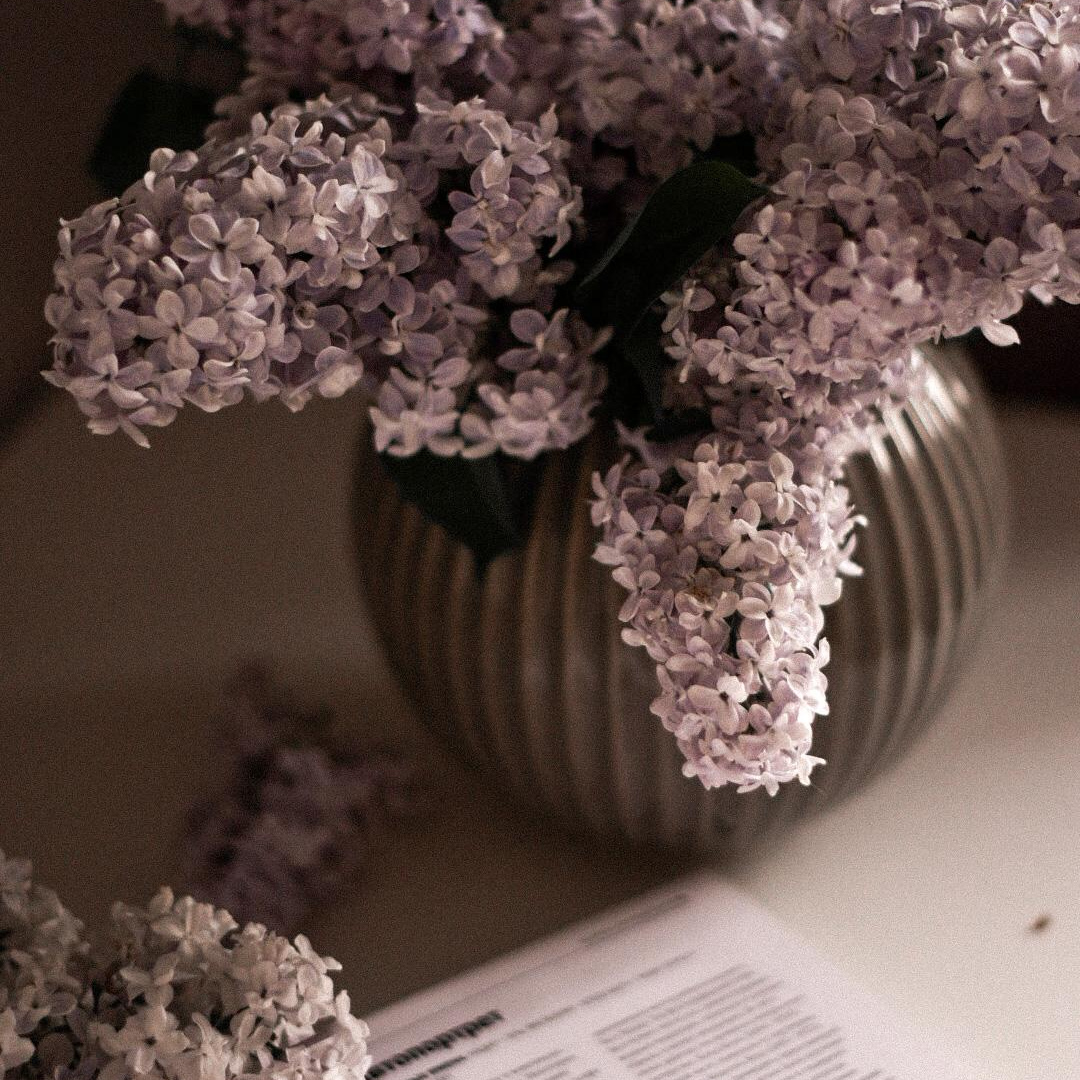 Контакты. Фотограф Юлия Гревцова