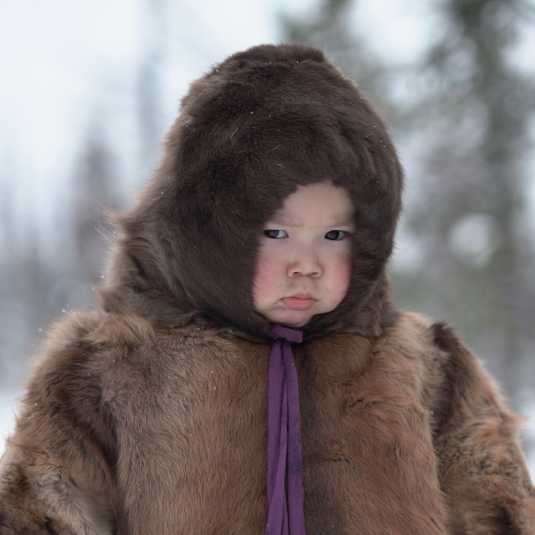 Фототур. Ямал. 2026. Елена Шумилова