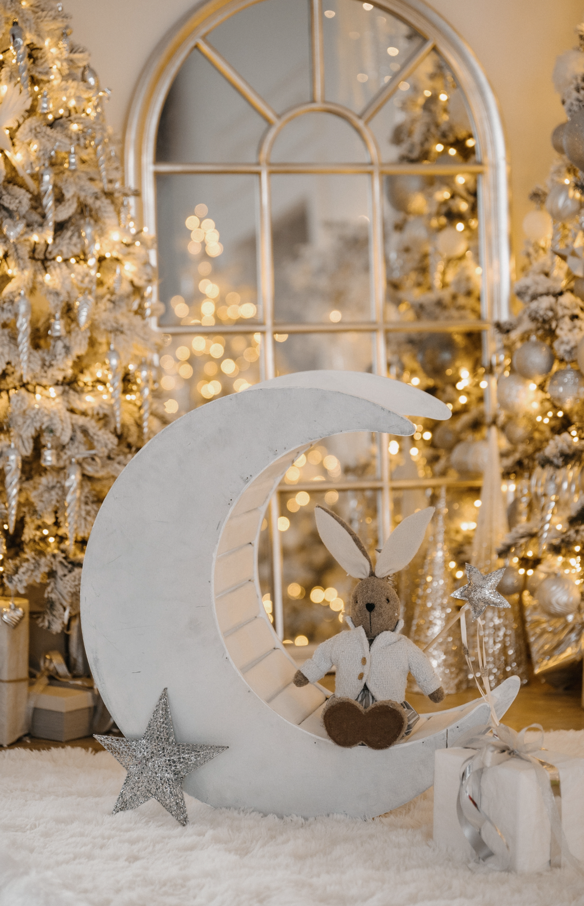 Новый год 2025-26. Семейный и свадебный фотограф и видеограф в Туле и Москве