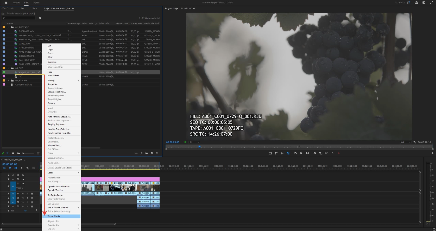 ROUND TRIP PREMIERE PRO TO DAVINCI RESOLVE