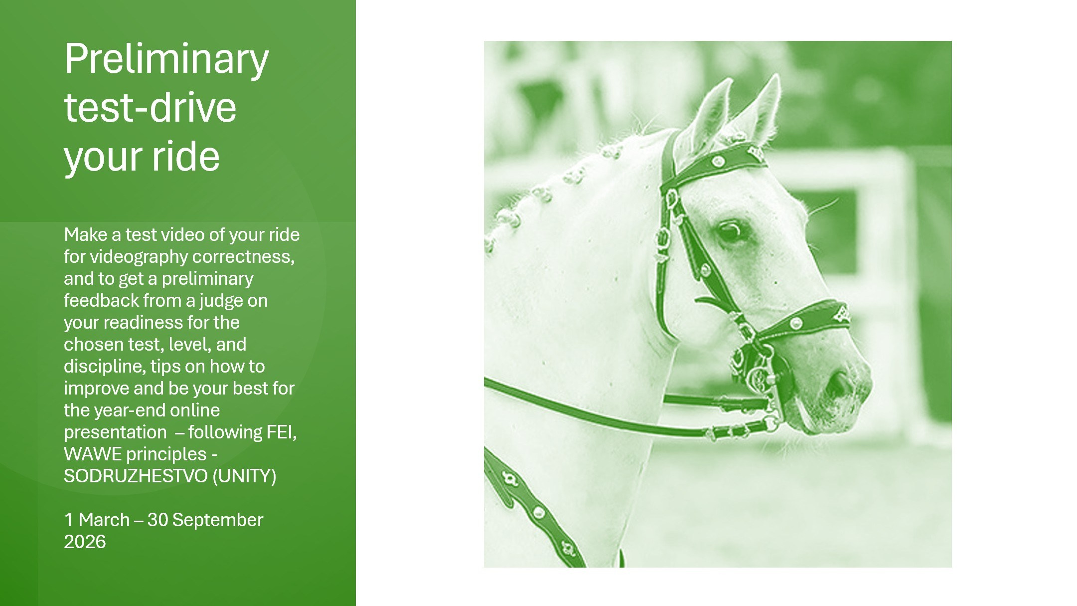 Календарь соревнований и семинаров. Лиана Антонович | Конные стратегии