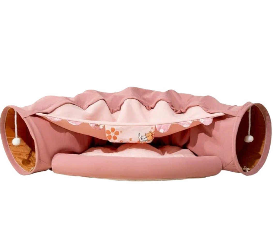 Котёнок американской бурмы. Las Burmas — питомник американской бурмы традиционных линий