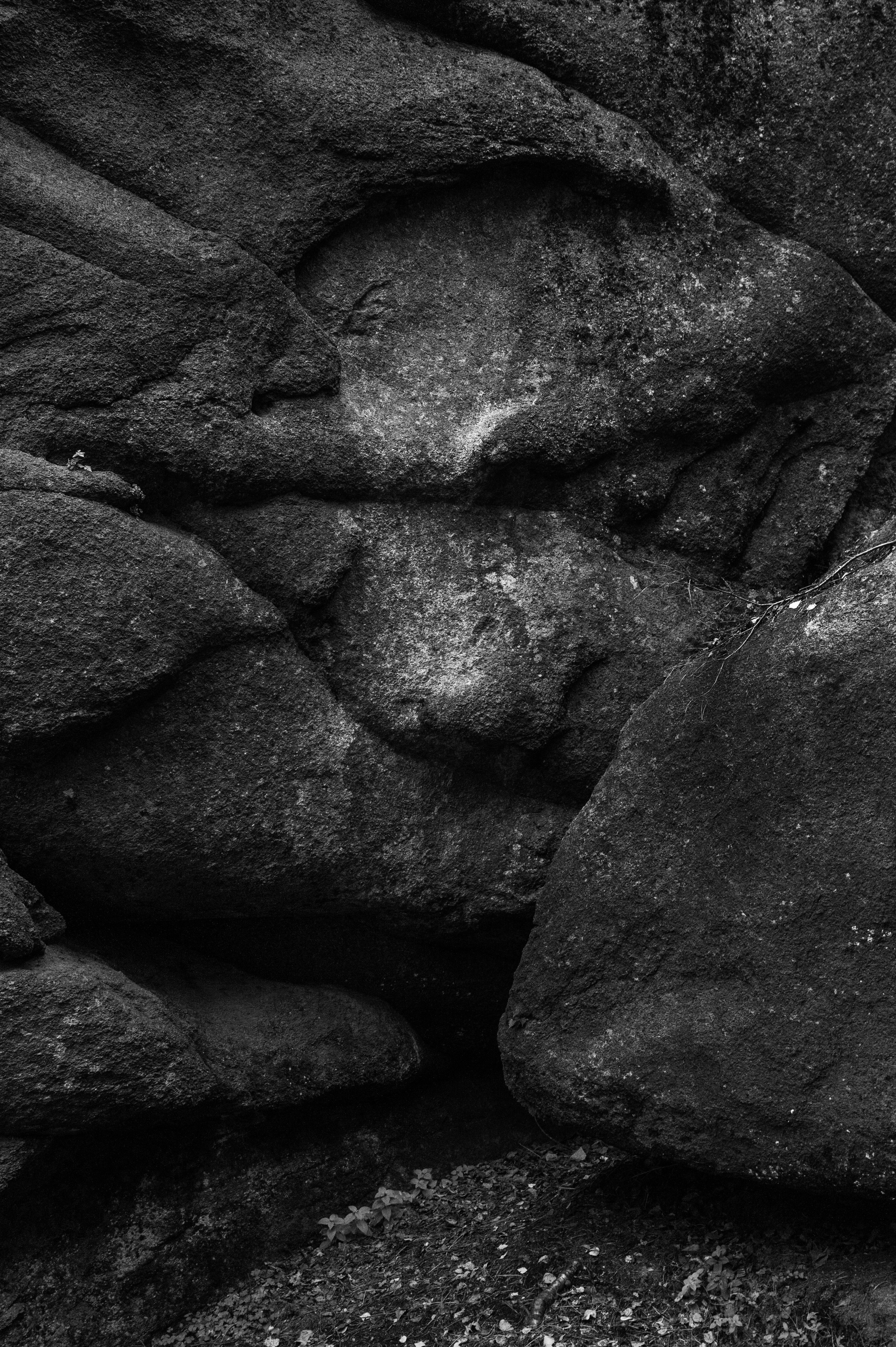 Работы, сделанные в Арт-резиденции «Красноярские столбы». Арт-фотография, терапевтическая фотография в Москве. Фотограф Анна Ермолова