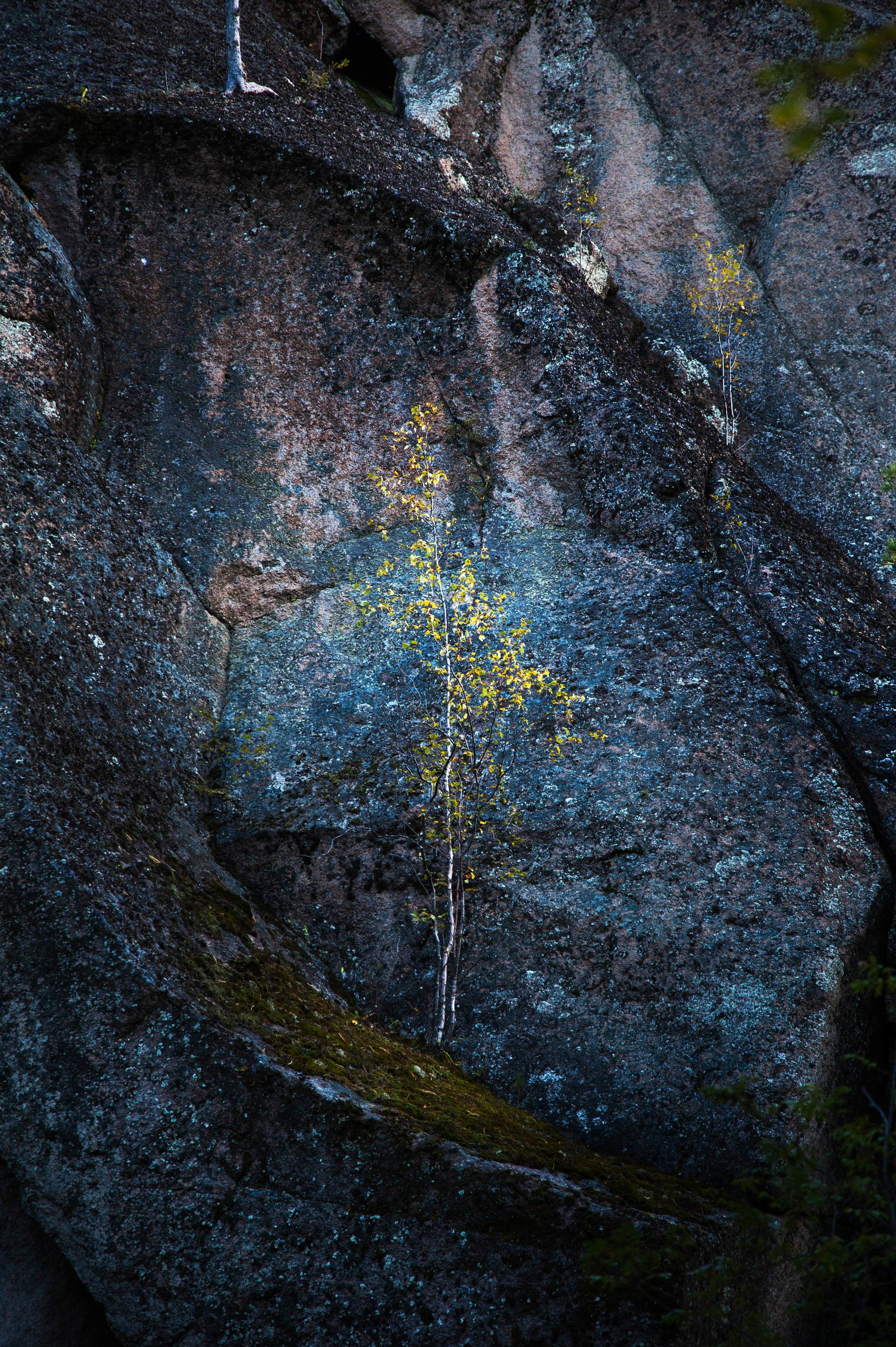 Работы, сделанные в Арт-резиденции «Красноярские столбы». Арт-фотография, терапевтическая фотография в Москве. Фотограф Анна Ермолова