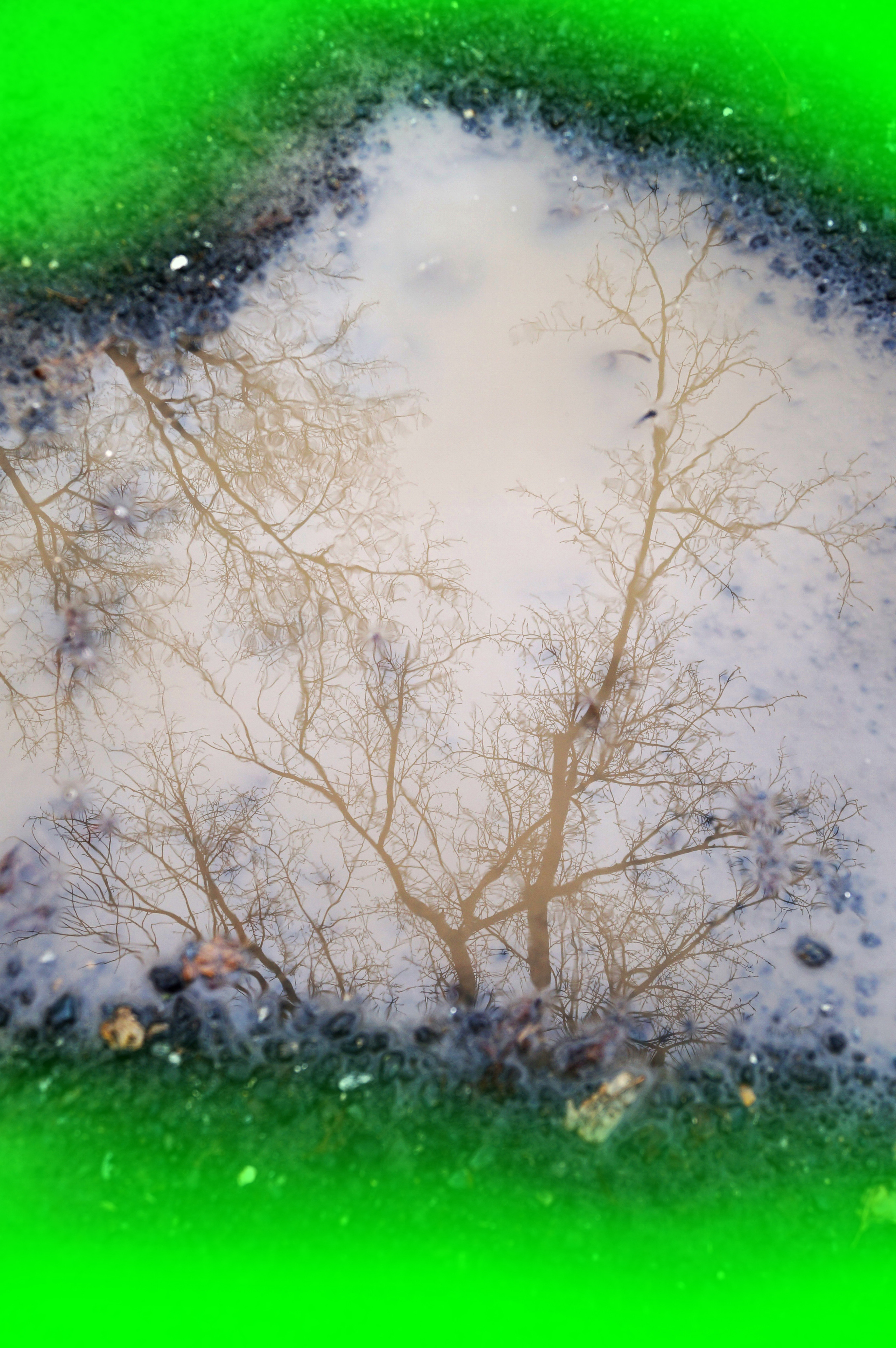 Neon black. Artist Anna Snegina Художница Анна Снегина