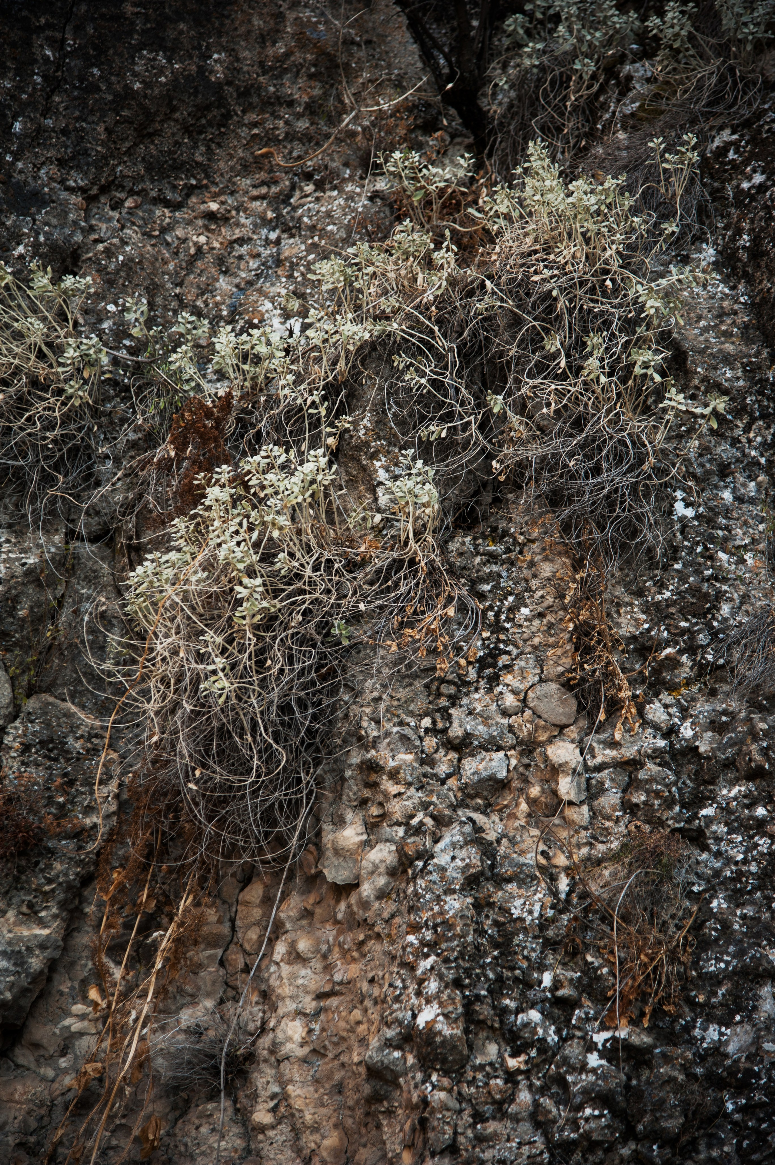 Точка равновесия. Арт-фотография, терапевтическая фотография в Москве. Фотограф Анна Ермолова