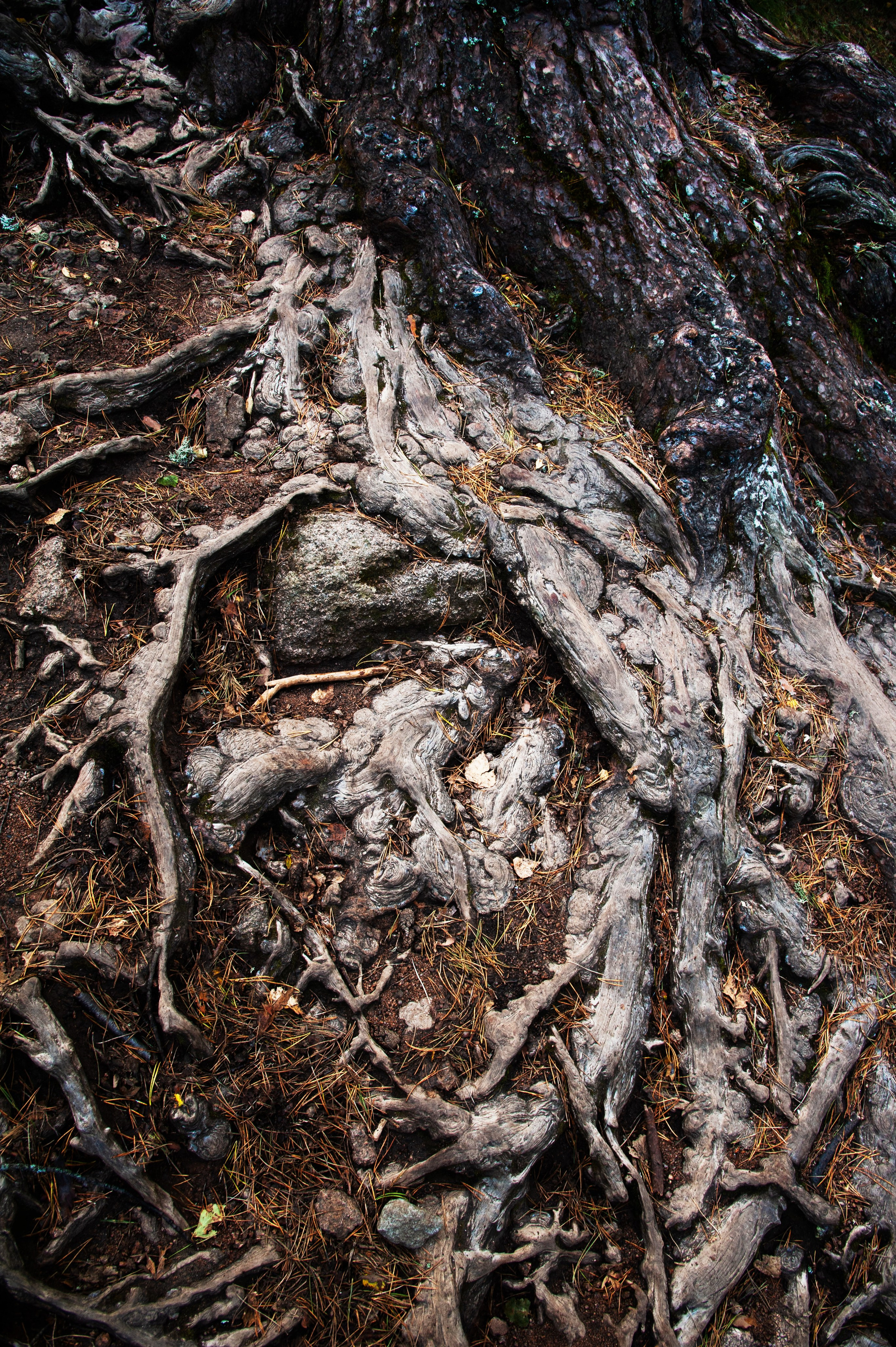 Точка равновесия. Арт-фотография, терапевтическая фотография в Москве. Фотограф Анна Ермолова