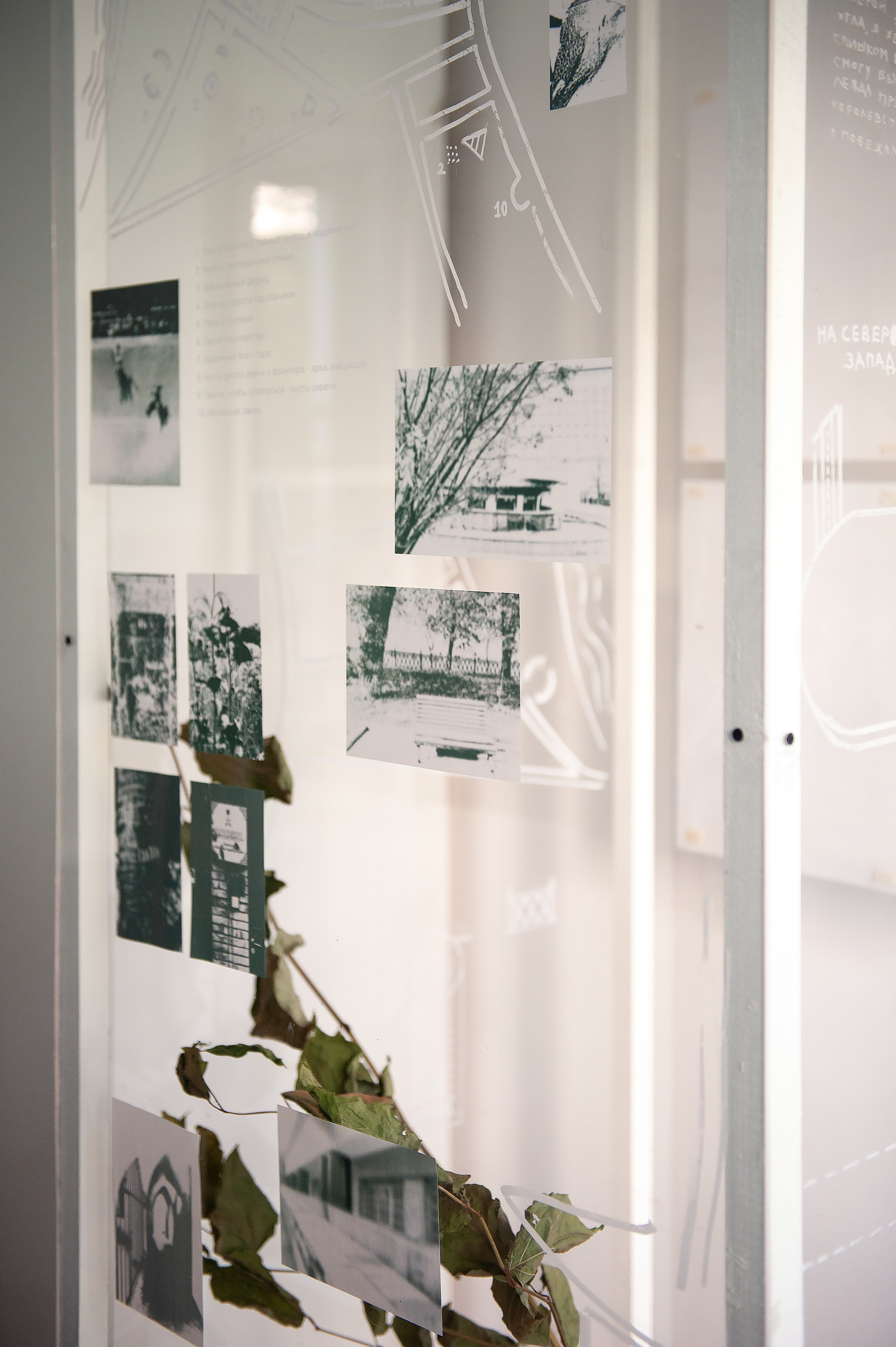 Мила Нишатова