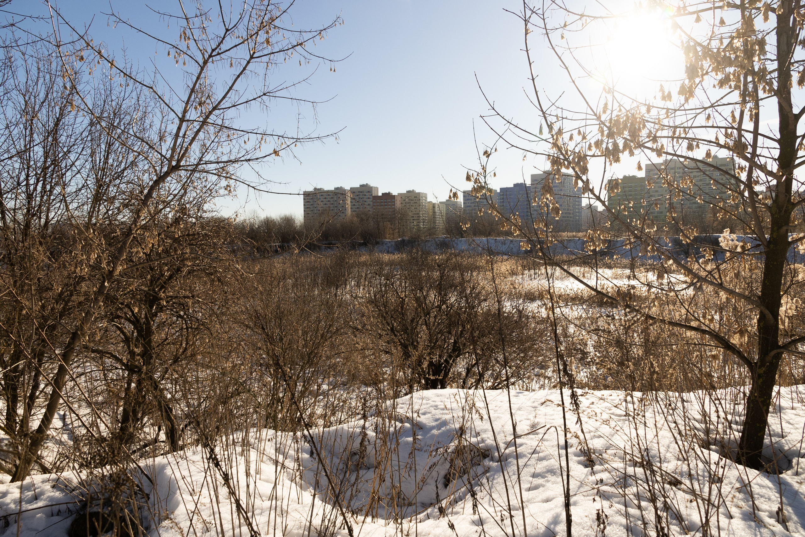 Я здесь живу. DASHA KALNINA