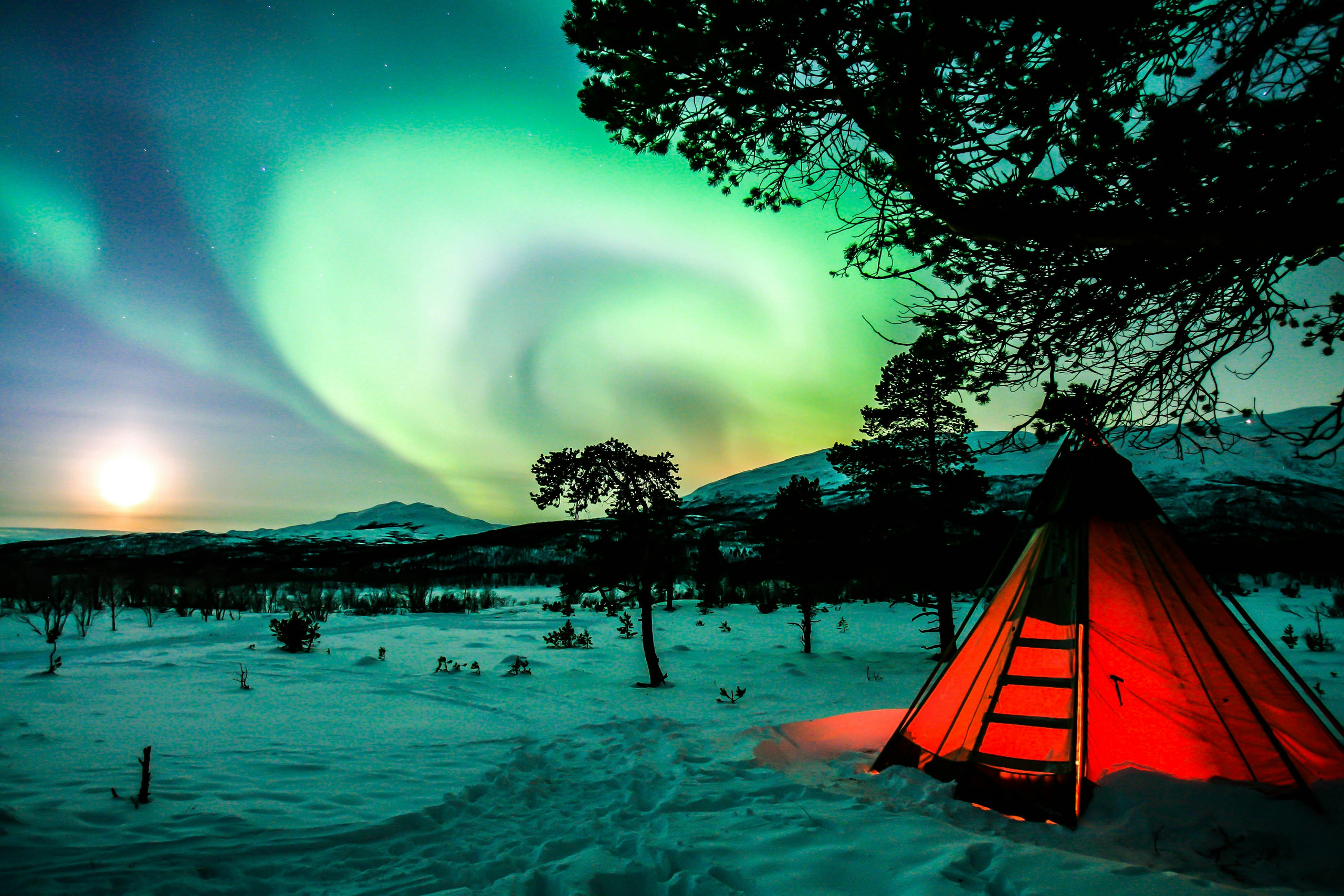 Husky sledding experience in Russia with snowy landscapes and private winter tour