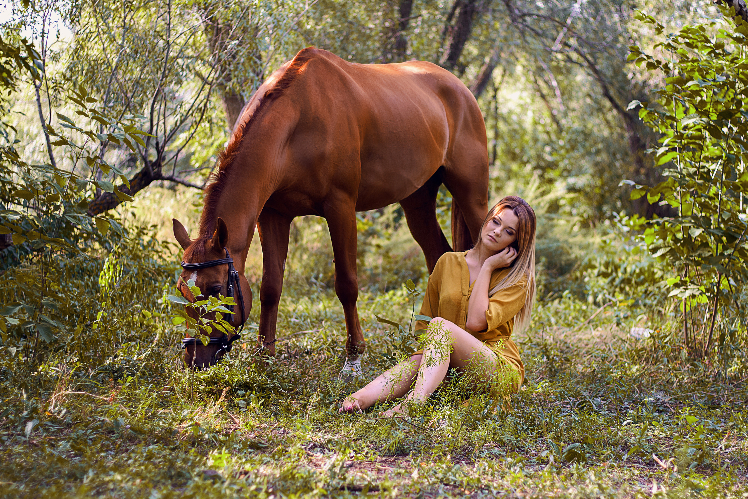 фотосессия с лошадью волгоград