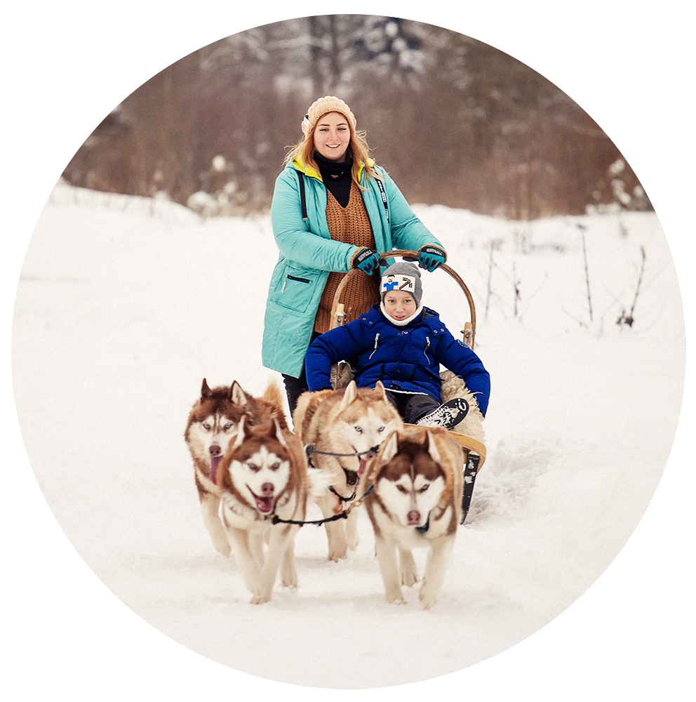 Катание на хаски в Спб