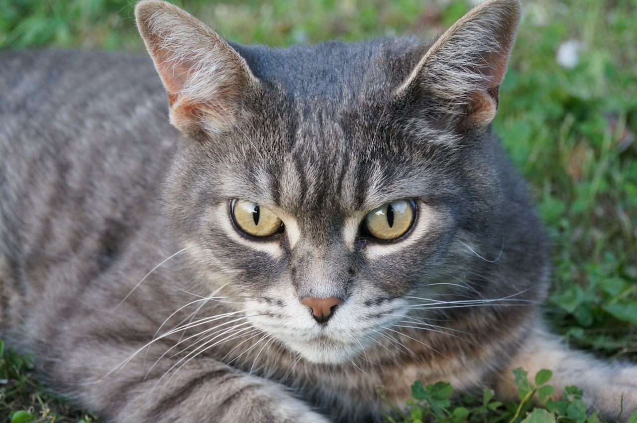 Команда экофермы Марии Гиппенрейтер. Эко отдых в Подмосковье в эко-отеле Марии Гиппенрейтер