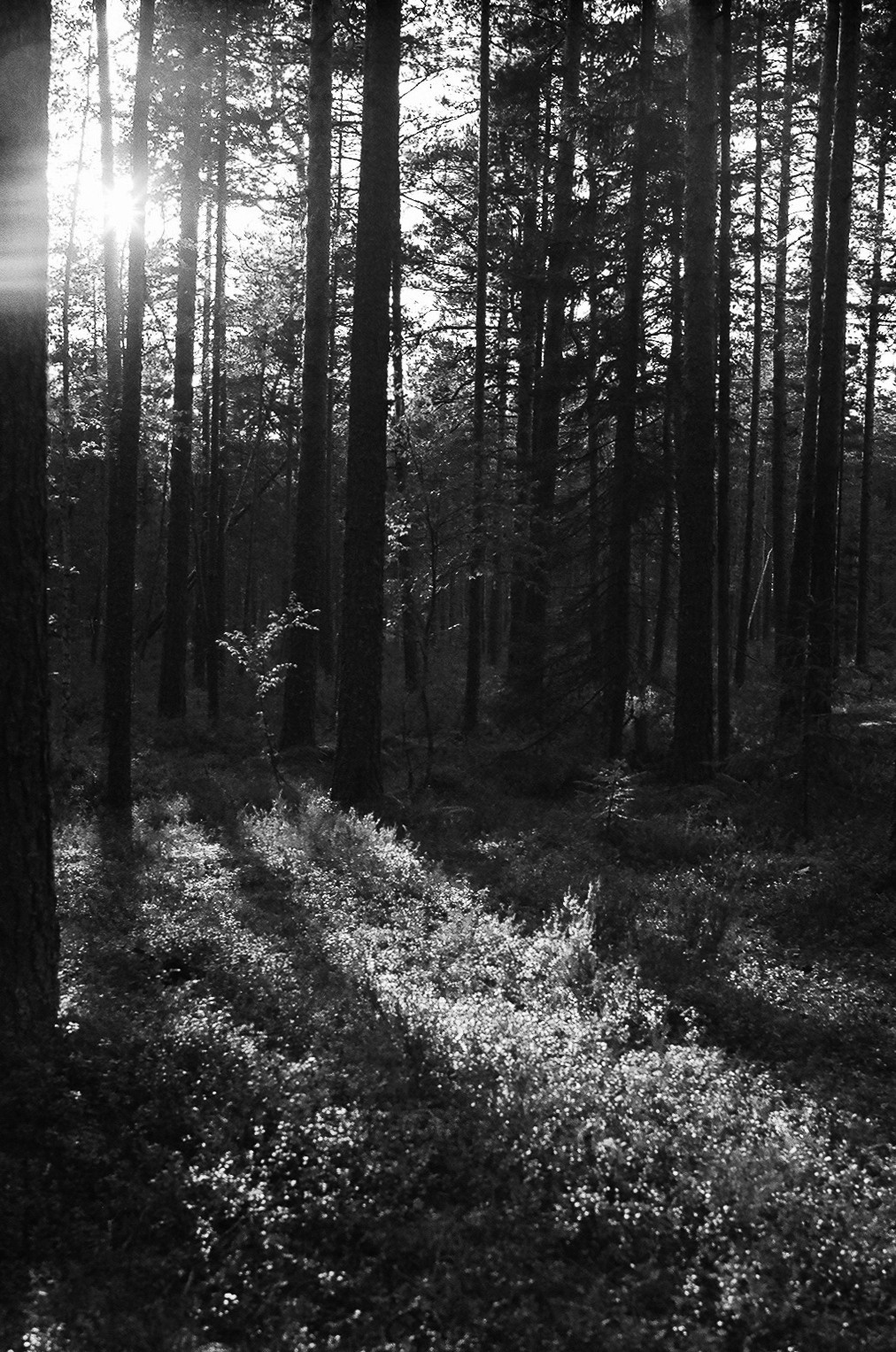 Arina & Denis 🤍. <3