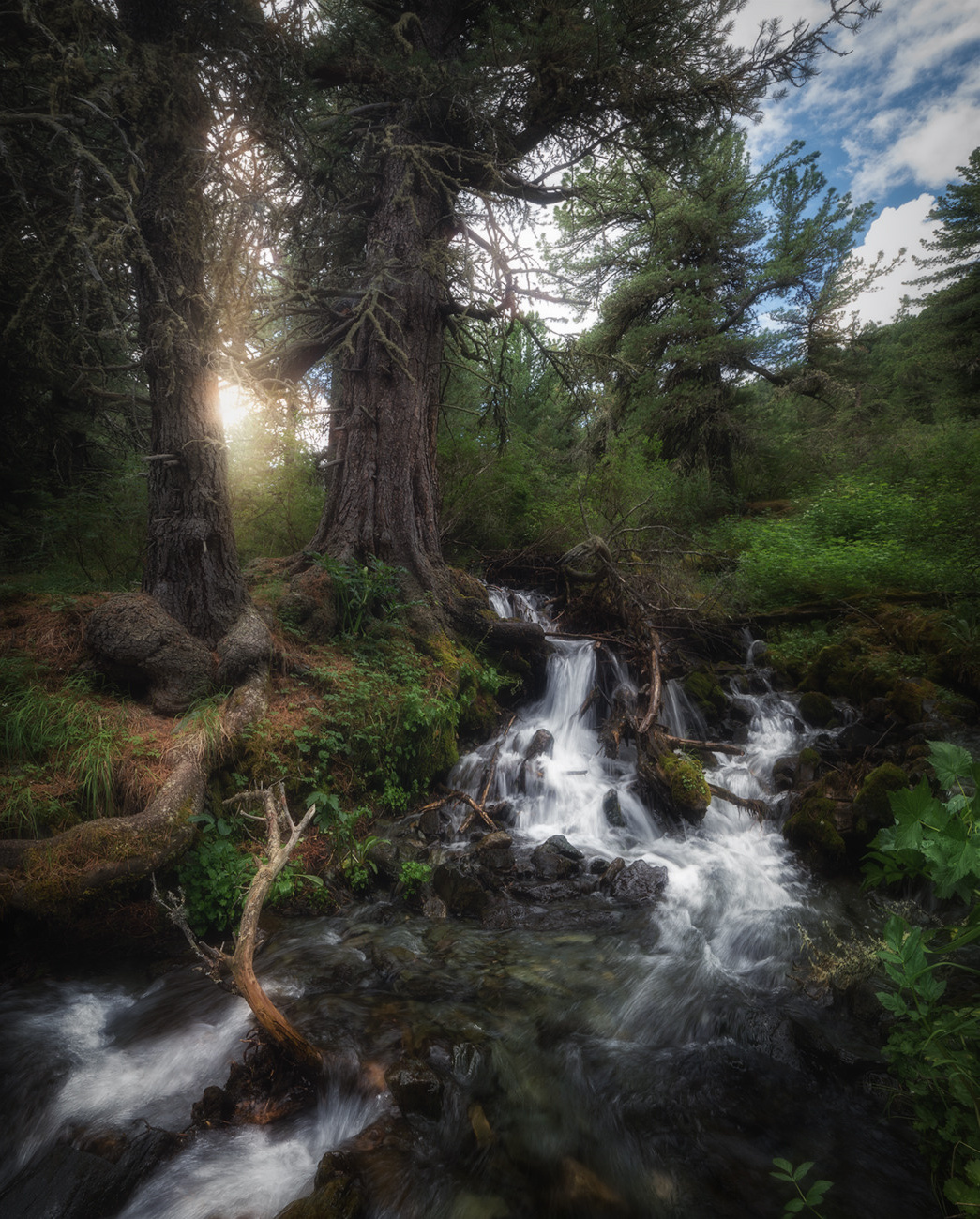 Ущелье водопадов. Профессиональный пейзажный фотограф Алёна Рубан
