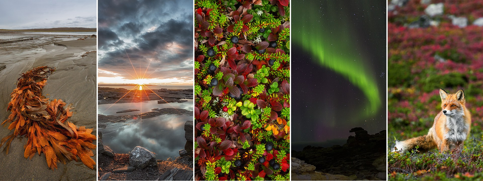 РЫБАЧИЙ 2025. Фототуры и обучение пейзажной фотографии