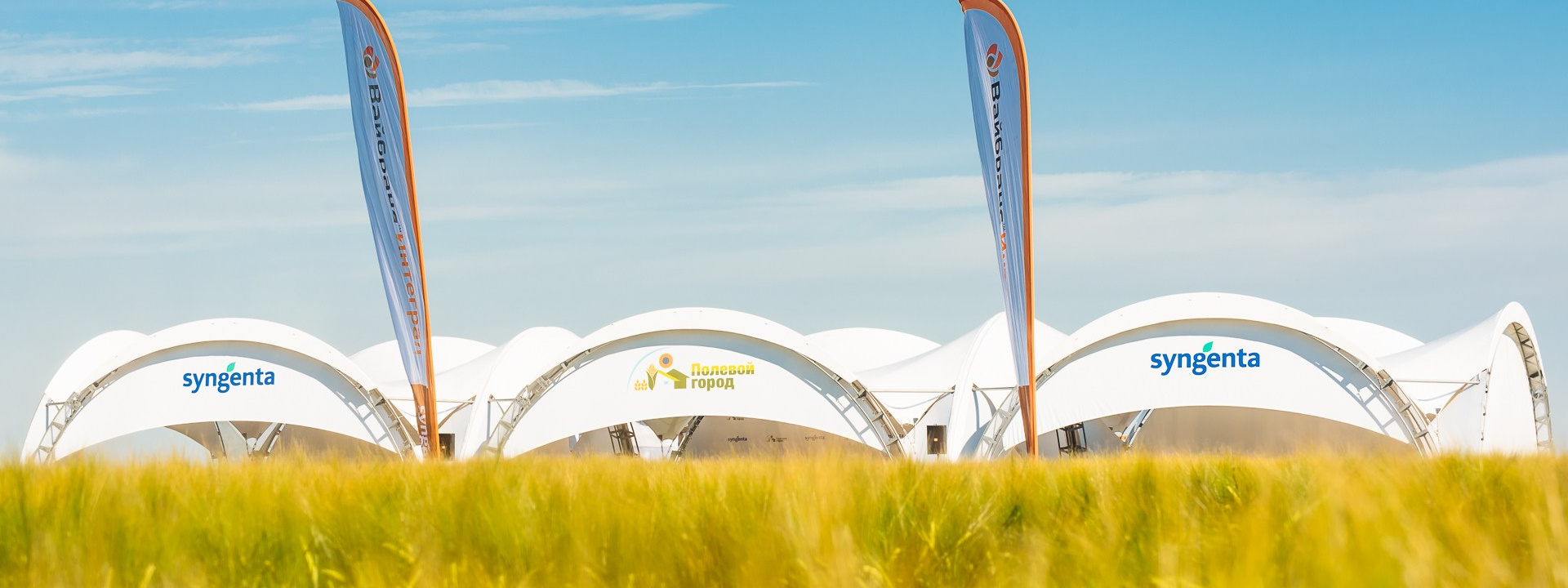 Проекты. Профессиональный фотограф Вячеслав Плацында | Липецк |