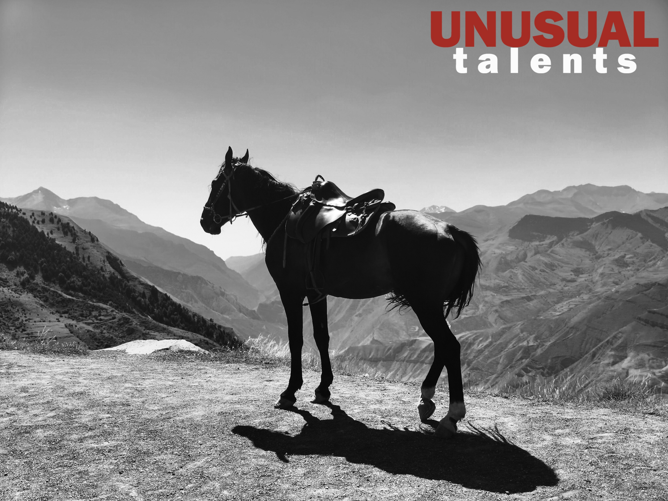 August 2026. UNUSUAL TALENT magazine
