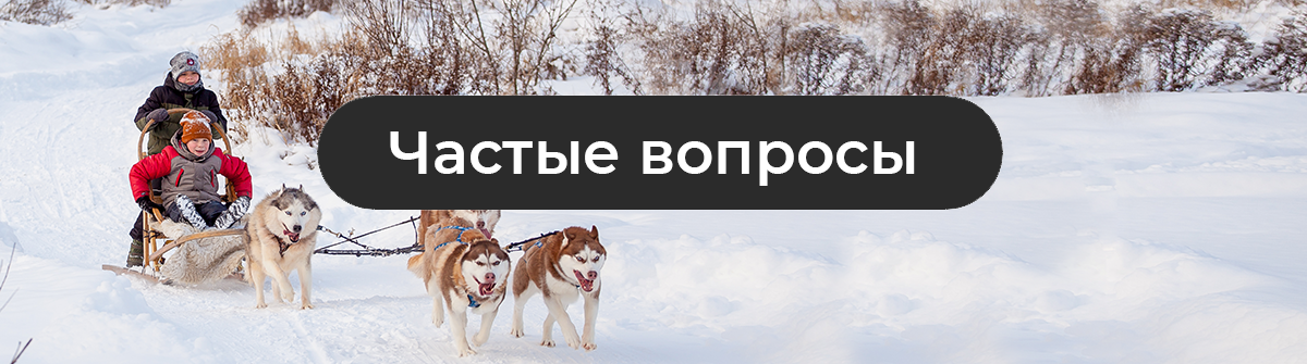 Катание на хаски в Спб