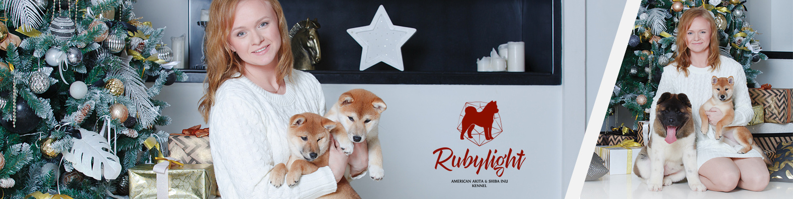 New Year's greetings!. AMERICAN AKITA RUBYLIGHT KENNEL I SHIBA-INU