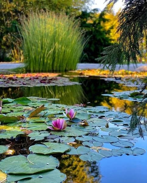 Фототур «Абхазия в бархатный сезон» 21–27 сентября. Ольга Котова