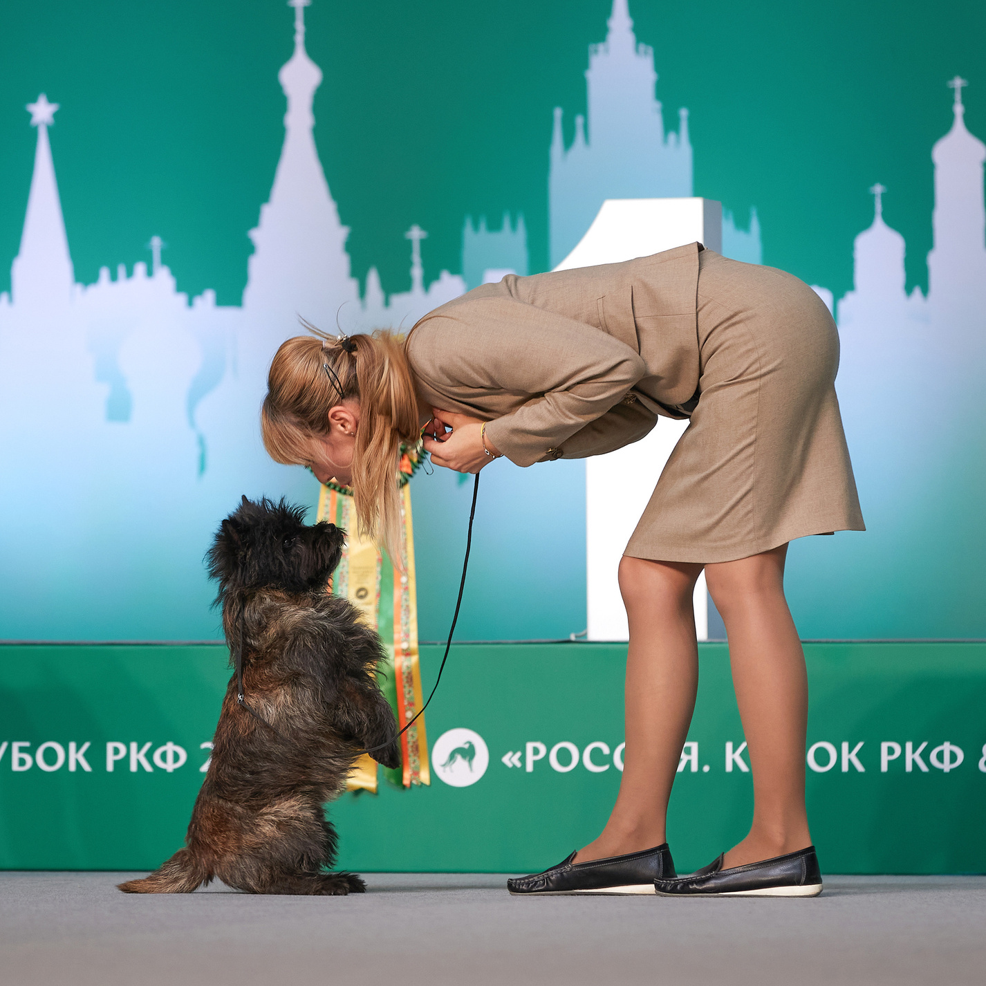 ФОТО ВЫСТАВКИ. ФОТОГРАФ-АНИМАЛИСТ l LANA POLYAKOVA