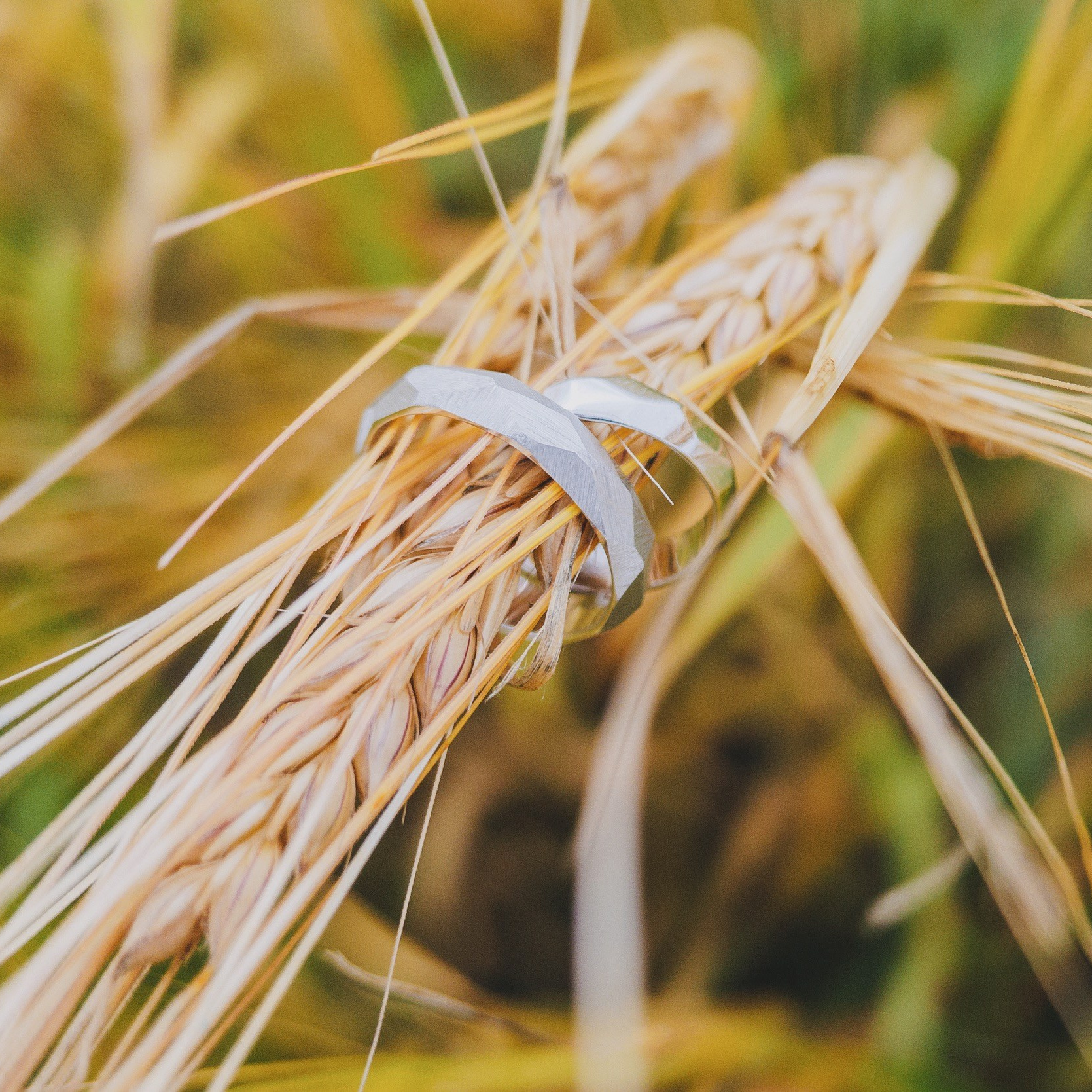 Фотограф и оператор-постановщик в Санкт-Петербурге Беликов Валентин