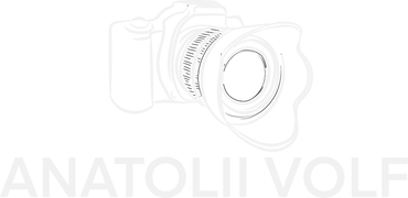anatoliivolf.com